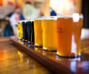Beer Sampler